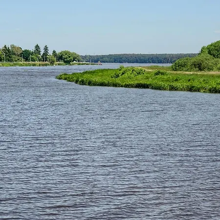 Мініготель Tymotka