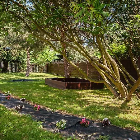 Мініготель Tymotka